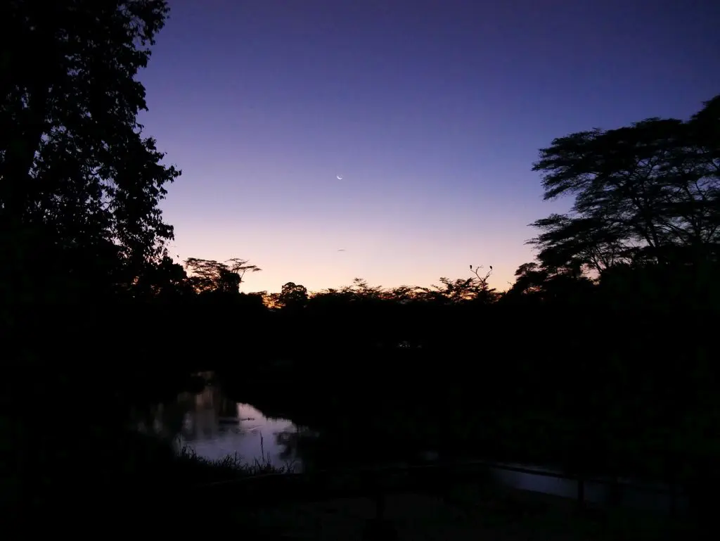 Safari Uganda Ishasha Tent Camp