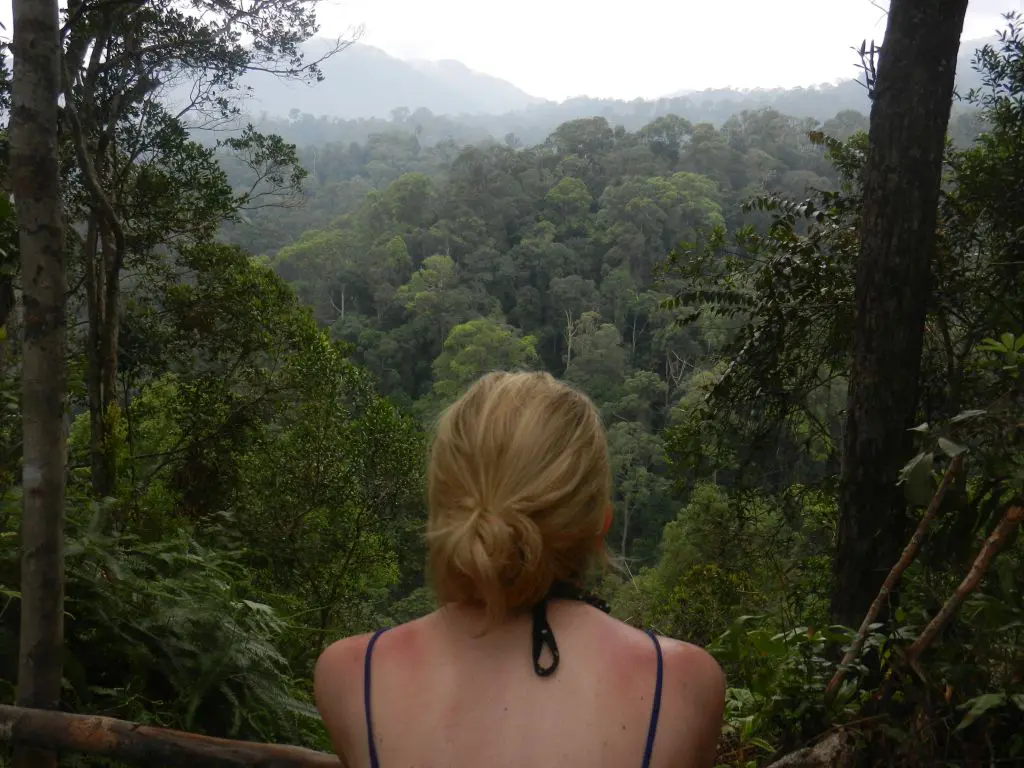 Sumatra Trekking Orang Utans