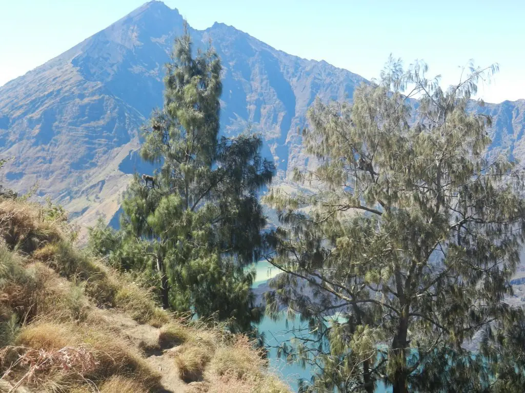 Vulkan Rinjani