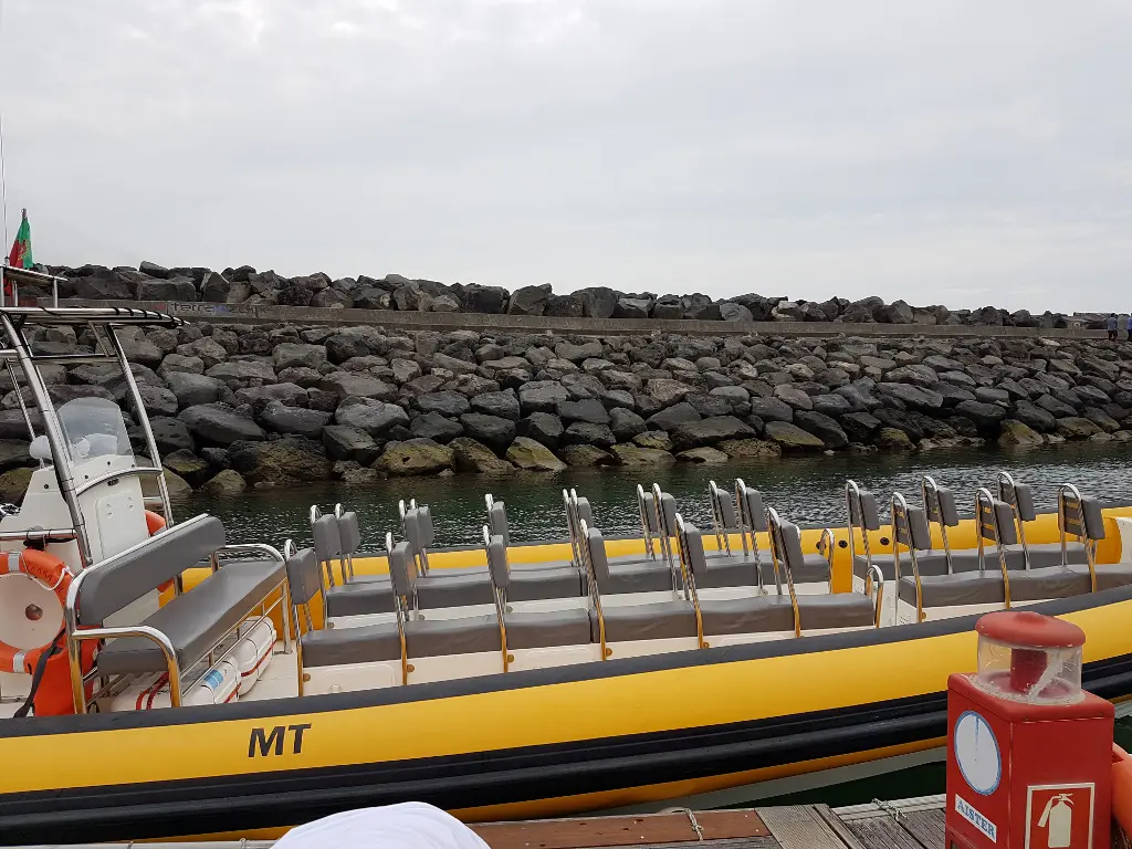 Schlauchboot Delfintour