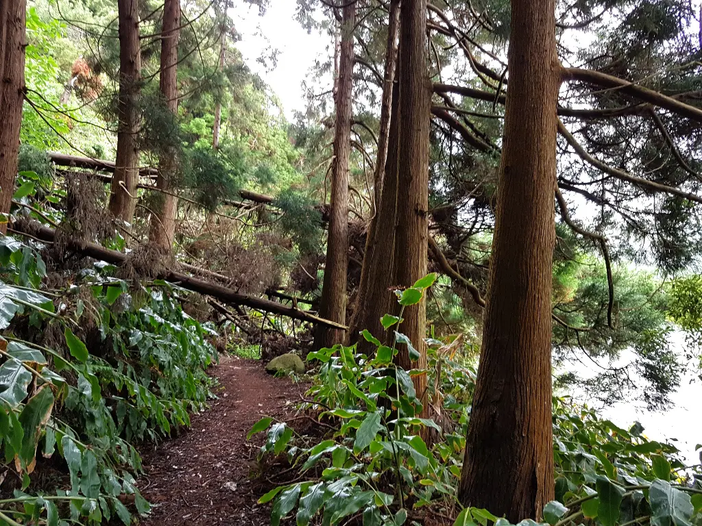 Sete Cidades Wanderung See