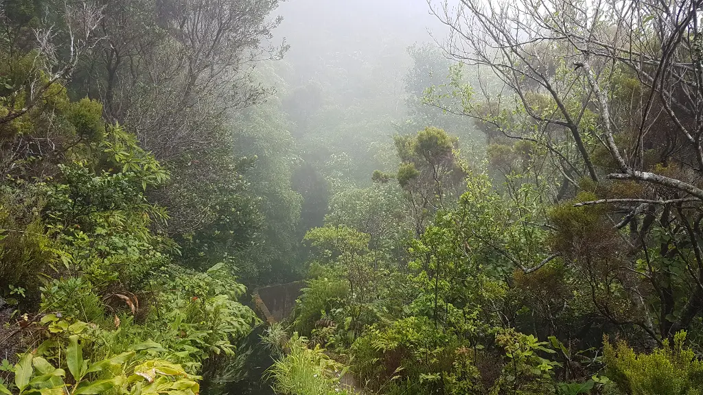 Wanderung zur Lagoa do Fogo