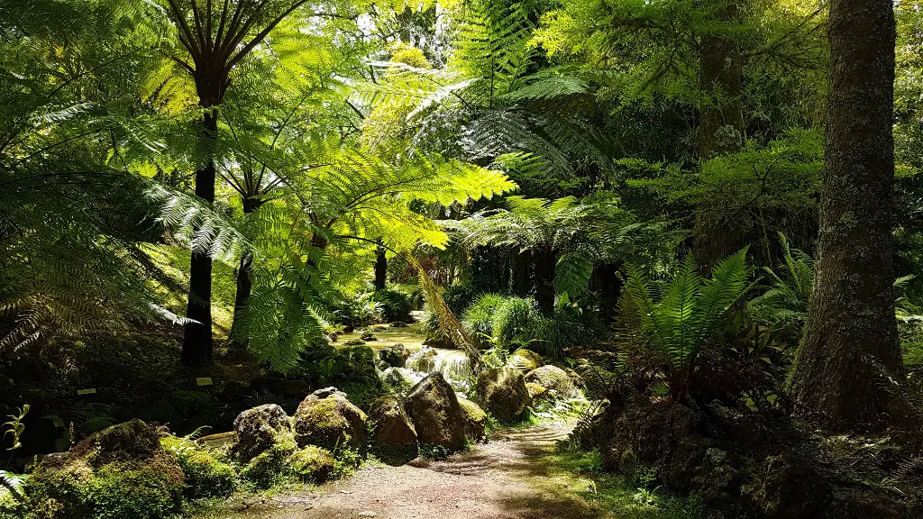 Farne Terra Nostra Park