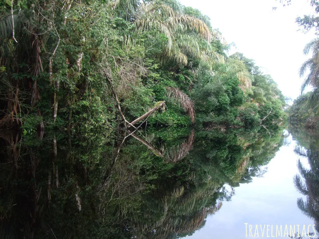 Tortuguero