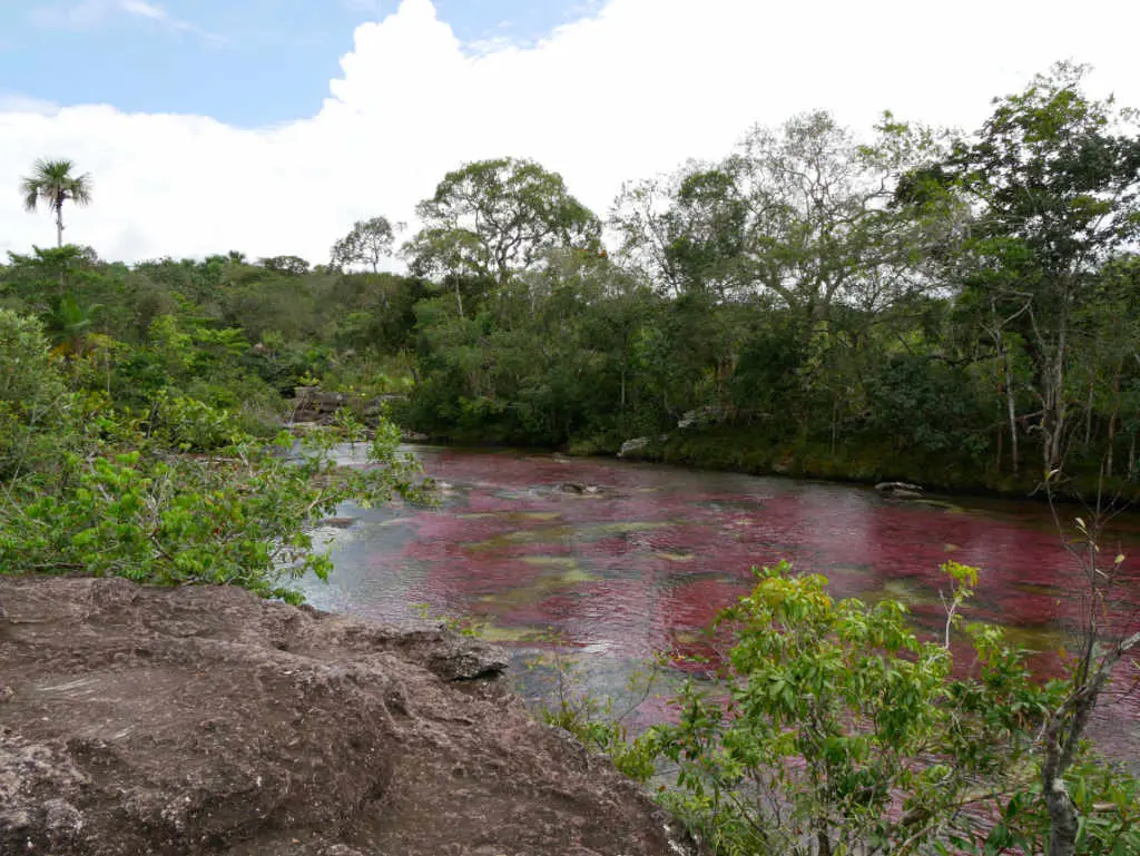 Caño Cristales Kolumbien