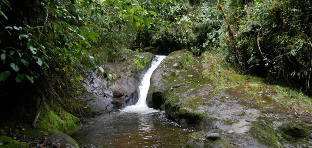 Wald Cueva del Esplendor