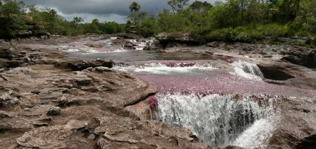 Caño Cristales Tour