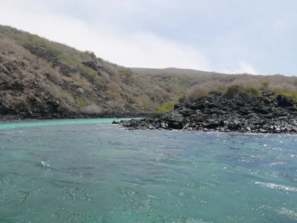 Pinzón Galapagos Schnorchelausflug