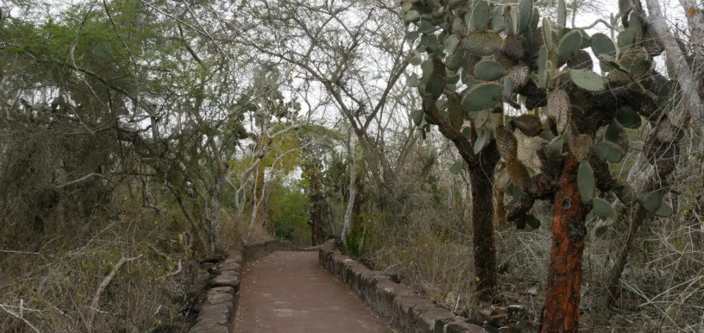 Santa Cruz Ausflüge Tortuga Bay