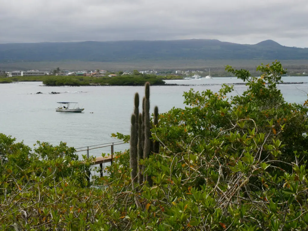 Tour de Bahía Santa Cruz