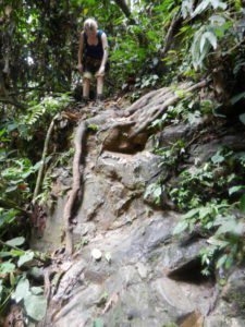 Dschungeltrekking