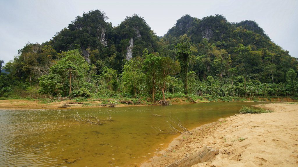 Dschungel-Trekking Vietnam