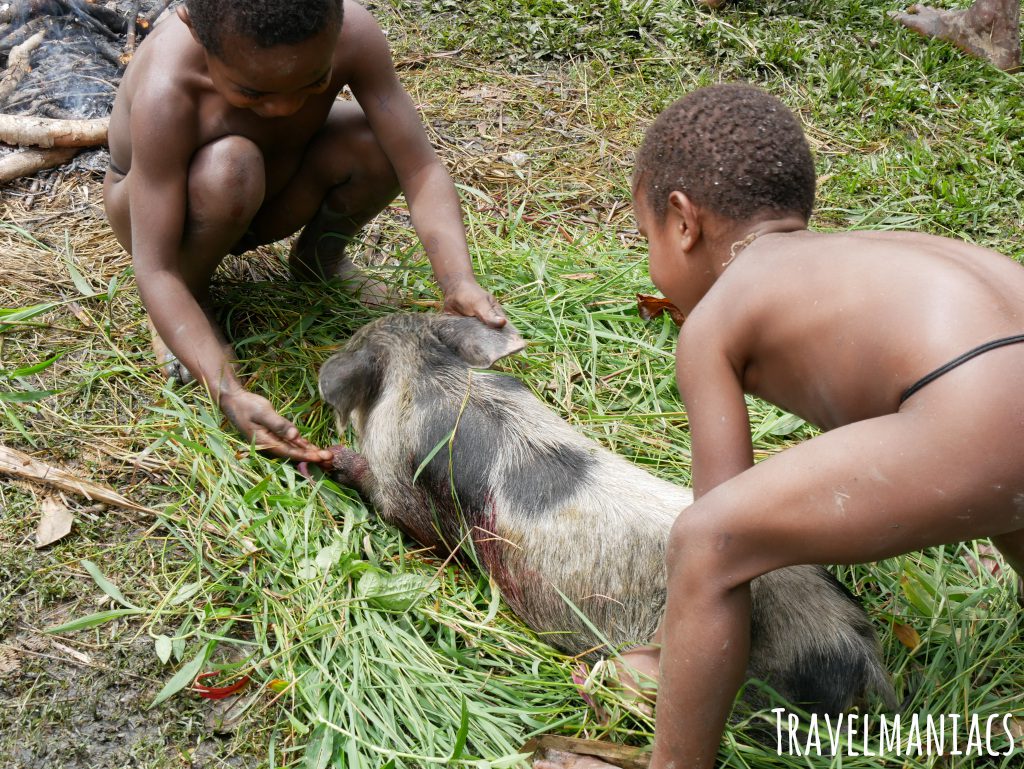 Schweinefest Papua www.travelmaniacs.de