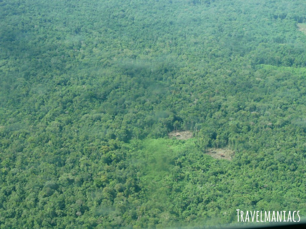 Dschungel Papua