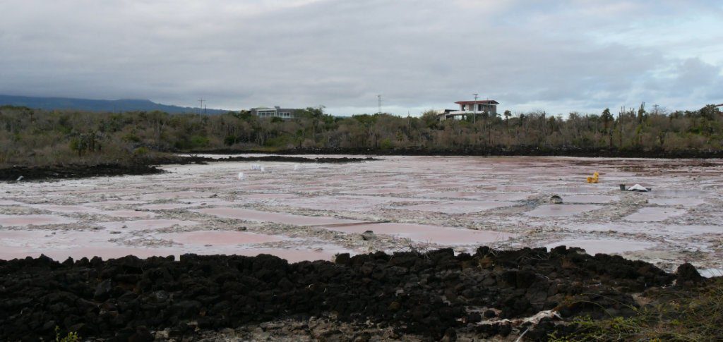 Salzsee Santa Cruz Galapagos