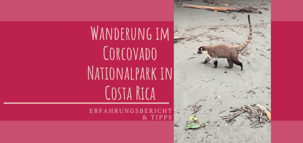 Erfahrungsbericht Corcovado Nationalpark Wanderung